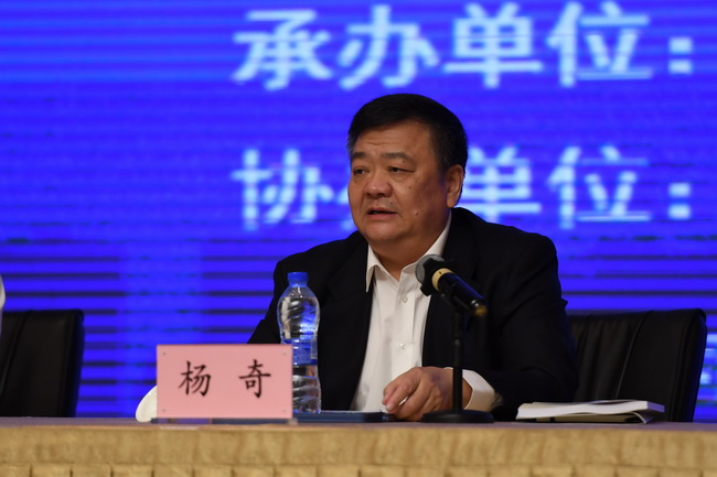 公安部治安管理局副局长杨奇讲话
